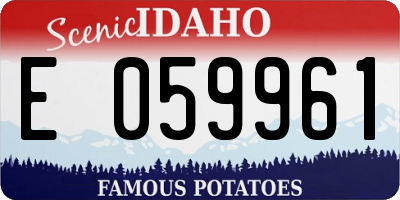 ID license plate E059961