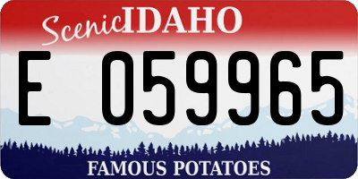 ID license plate E059965