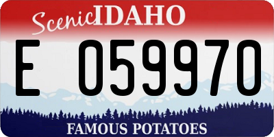ID license plate E059970
