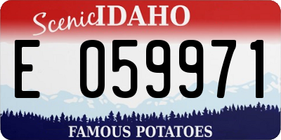 ID license plate E059971