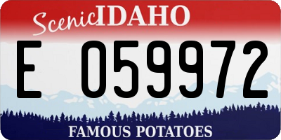 ID license plate E059972
