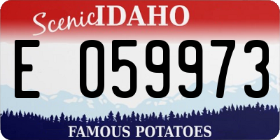 ID license plate E059973