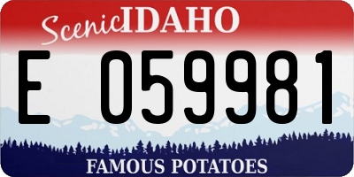 ID license plate E059981