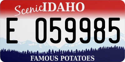 ID license plate E059985