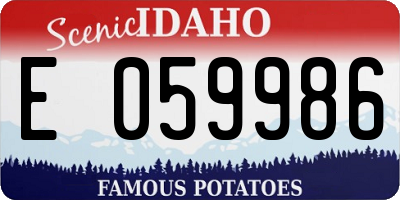 ID license plate E059986