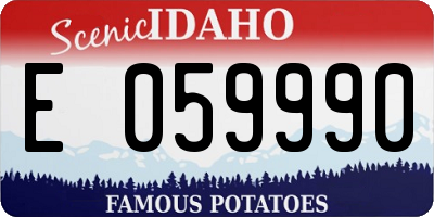 ID license plate E059990