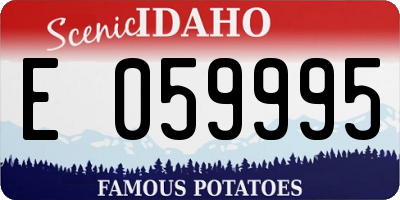 ID license plate E059995