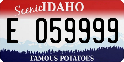 ID license plate E059999