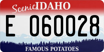 ID license plate E060028