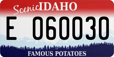 ID license plate E060030