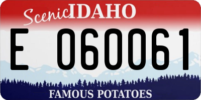 ID license plate E060061