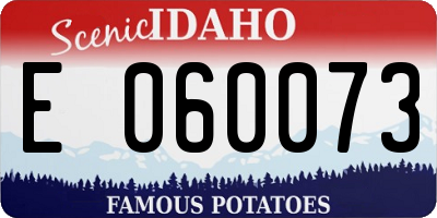 ID license plate E060073