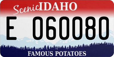 ID license plate E060080