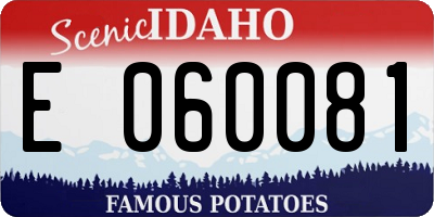 ID license plate E060081