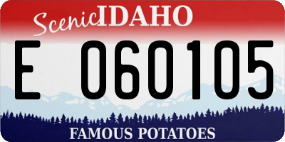ID license plate E060105