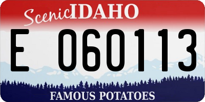 ID license plate E060113