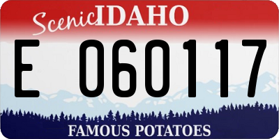 ID license plate E060117