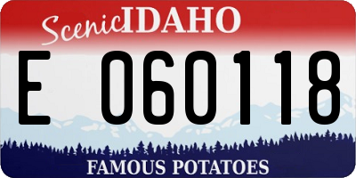 ID license plate E060118