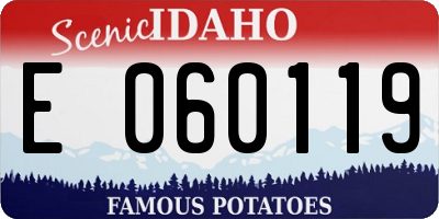 ID license plate E060119