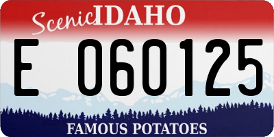 ID license plate E060125