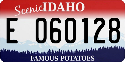 ID license plate E060128
