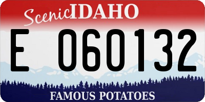 ID license plate E060132