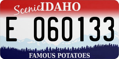 ID license plate E060133