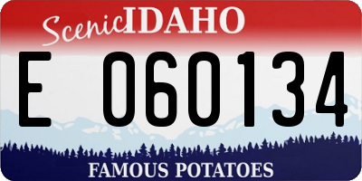 ID license plate E060134