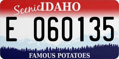 ID license plate E060135