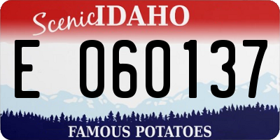 ID license plate E060137