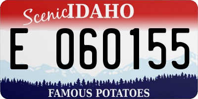ID license plate E060155