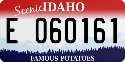 ID license plate E060161