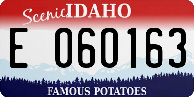 ID license plate E060163