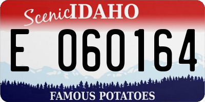 ID license plate E060164