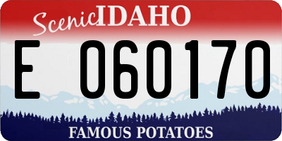 ID license plate E060170