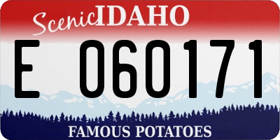 ID license plate E060171