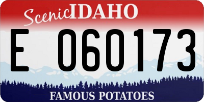 ID license plate E060173