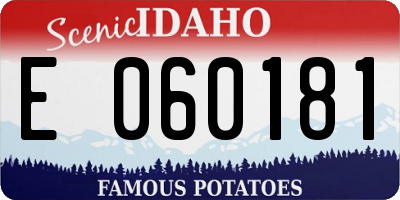 ID license plate E060181