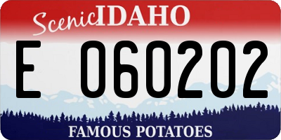 ID license plate E060202