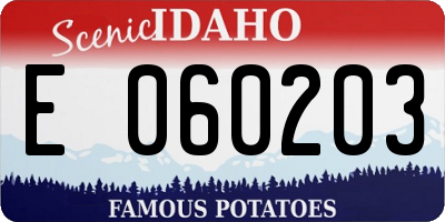 ID license plate E060203