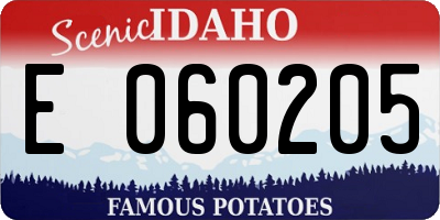 ID license plate E060205