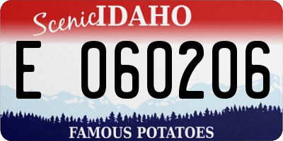 ID license plate E060206