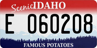 ID license plate E060208