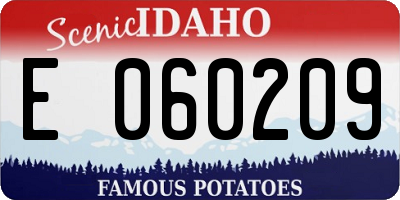 ID license plate E060209