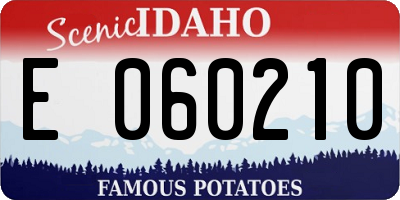 ID license plate E060210