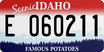 ID license plate E060211