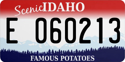 ID license plate E060213