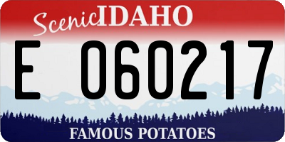 ID license plate E060217