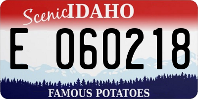 ID license plate E060218