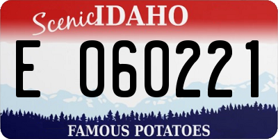 ID license plate E060221